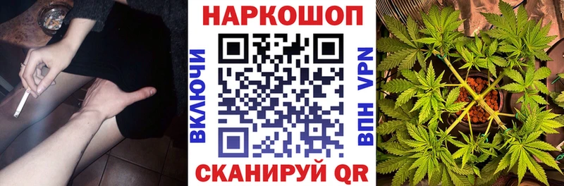 Наркошоп Калининск МАРИХУАНА  кракен как зайти  Псилоцибиновые грибы  Меф  ГАШ  Alpha-PVP  КОКАИН 