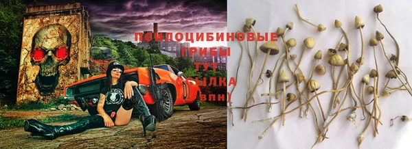 ALPHA PVP Алексеевка