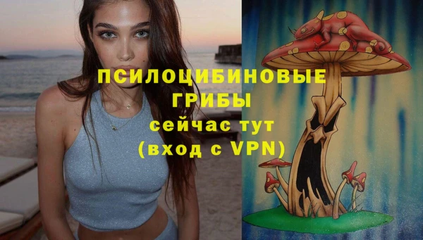 трава Алзамай